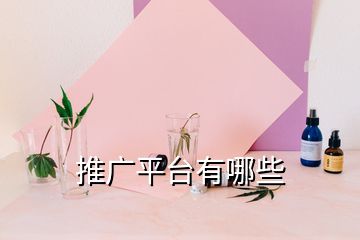 推廣平臺(tái)有哪些