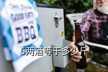 5兩酒等于多少斤