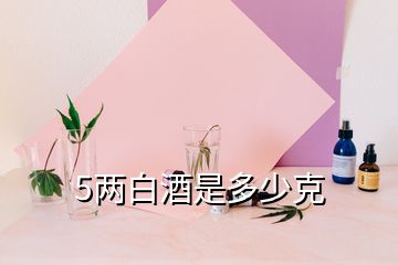 5兩白酒是多少克