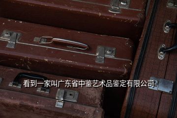 看到一家叫廣東省中鑒藝術(shù)品鑒定有限公司