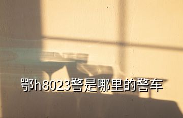 鄂h8023警是哪里的警車