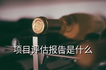 項目評估報告是什么