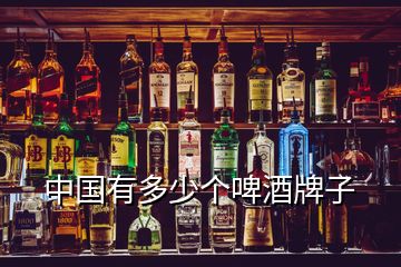 中國(guó)有多少個(gè)啤酒牌子