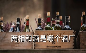 兩相和酒是哪個酒廠