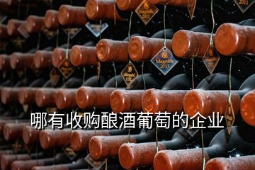 哪有收購(gòu)釀酒葡萄的企業(yè)