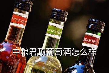 中糧君頂葡萄酒怎么樣