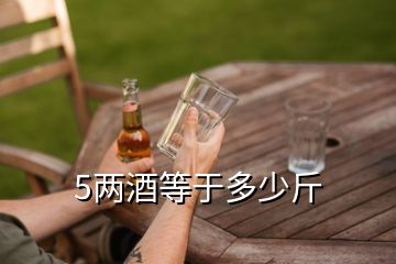 5兩酒等于多少斤