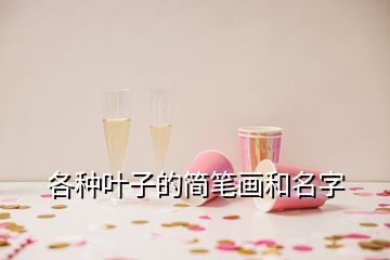 各種葉子的簡筆畫和名字