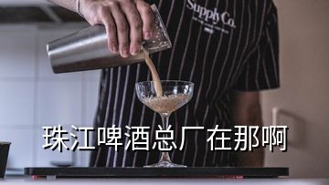 珠江啤酒總廠在那啊