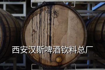 西安漢斯啤酒欽料總廠