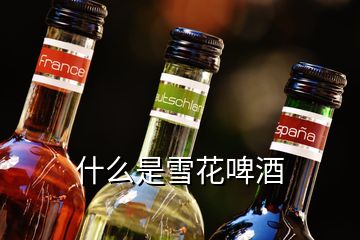 什么是雪花啤酒