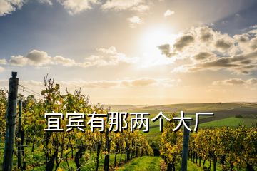 宜賓有那兩個大廠