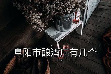 阜陽市釀酒廠有幾個