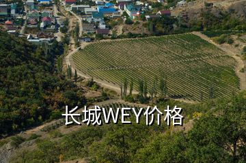 長城WEY價(jià)格