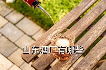 山東酒廠(chǎng)有哪些