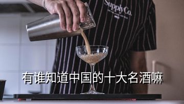 有誰(shuí)知道中國(guó)的十大名酒嘛