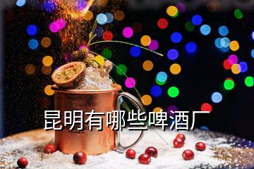 昆明有哪些啤酒廠