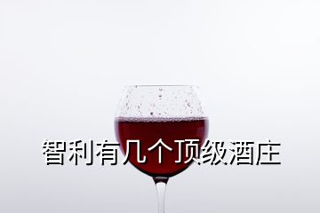 智利有幾個(gè)頂級(jí)酒莊