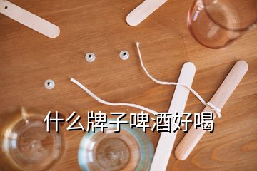 什么牌子啤酒好喝