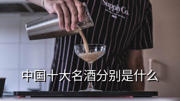 中國十大名酒分別是什么