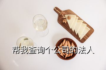 幫我查詢個公司的法人