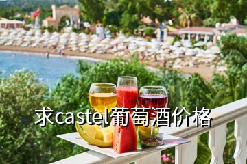 求castel葡萄酒價格