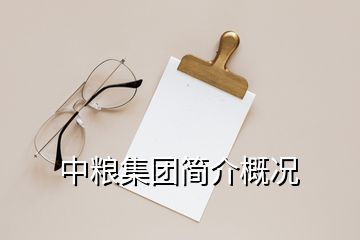 中糧集團(tuán)簡(jiǎn)介概況