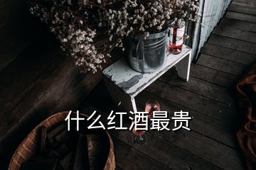 什么紅酒最貴