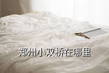 鄭州小雙橋在哪里