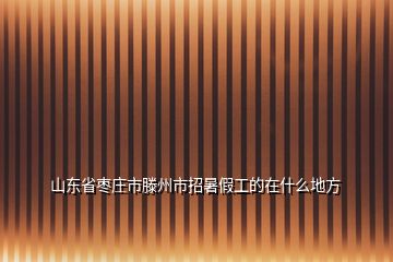 山東省棗莊市滕州市招暑假工的在什么地方