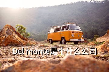 Del monte是個什么公司