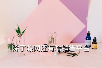 除了駿網(wǎng)還有啥銷售平臺