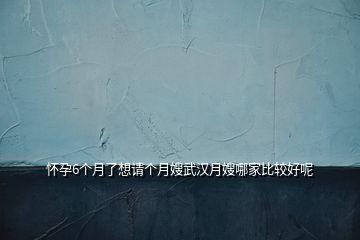 懷孕6個(gè)月了想請(qǐng)個(gè)月嫂武漢月嫂哪家比較好呢