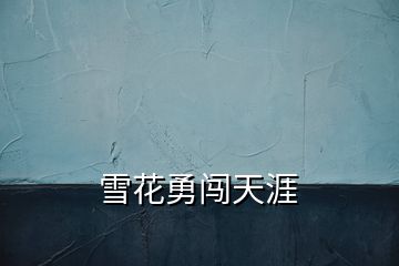 雪花勇闖天涯