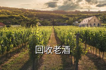 回收老酒