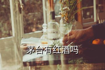 茅臺(tái)有紅酒嗎