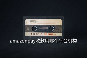 amazonpay收款用哪個平臺機構(gòu)