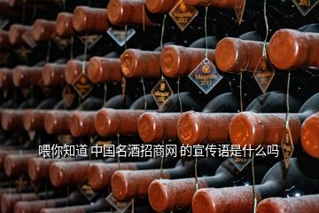 喂你知道 中國(guó)名酒招商網(wǎng) 的宣傳語是什么嗎