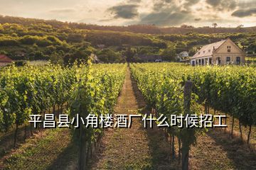 平昌縣小角樓酒廠什么時(shí)候招工