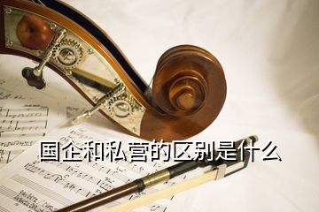 國企和私營的區(qū)別是什么