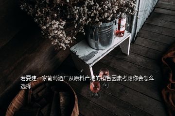 若要建一家葡萄酒廠從原料產(chǎn)地的銷售因素考慮你會怎么選擇