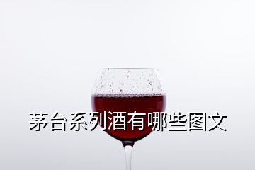 茅臺系列酒有哪些圖文