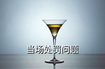 當(dāng)場處罰問題