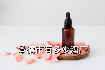 承德市有多少酒廠