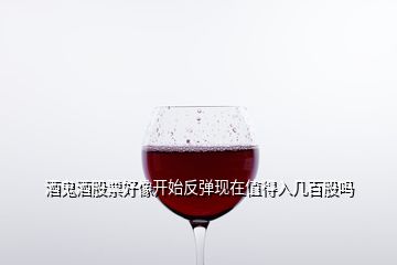 酒鬼酒股票好像開始反彈現(xiàn)在值得入幾百股嗎