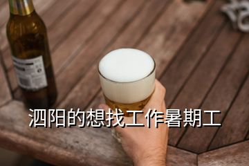 泗陽的想找工作暑期工