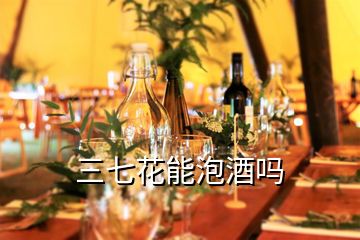 三七花能泡酒嗎