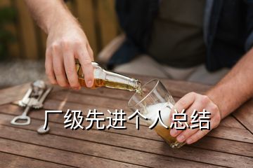 廠級(jí)先進(jìn)個(gè)人總結(jié)