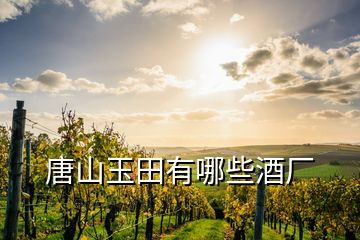 唐山玉田有哪些酒廠