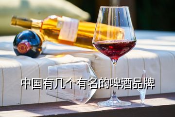 中國(guó)有幾個(gè)有名的啤酒品牌